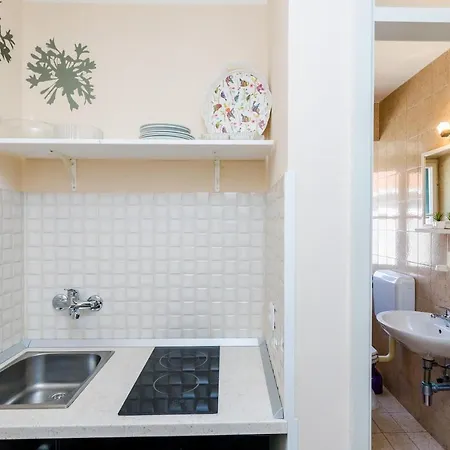 Apartment Lion - Studio Zaton (Dubrovnik-Neretva)